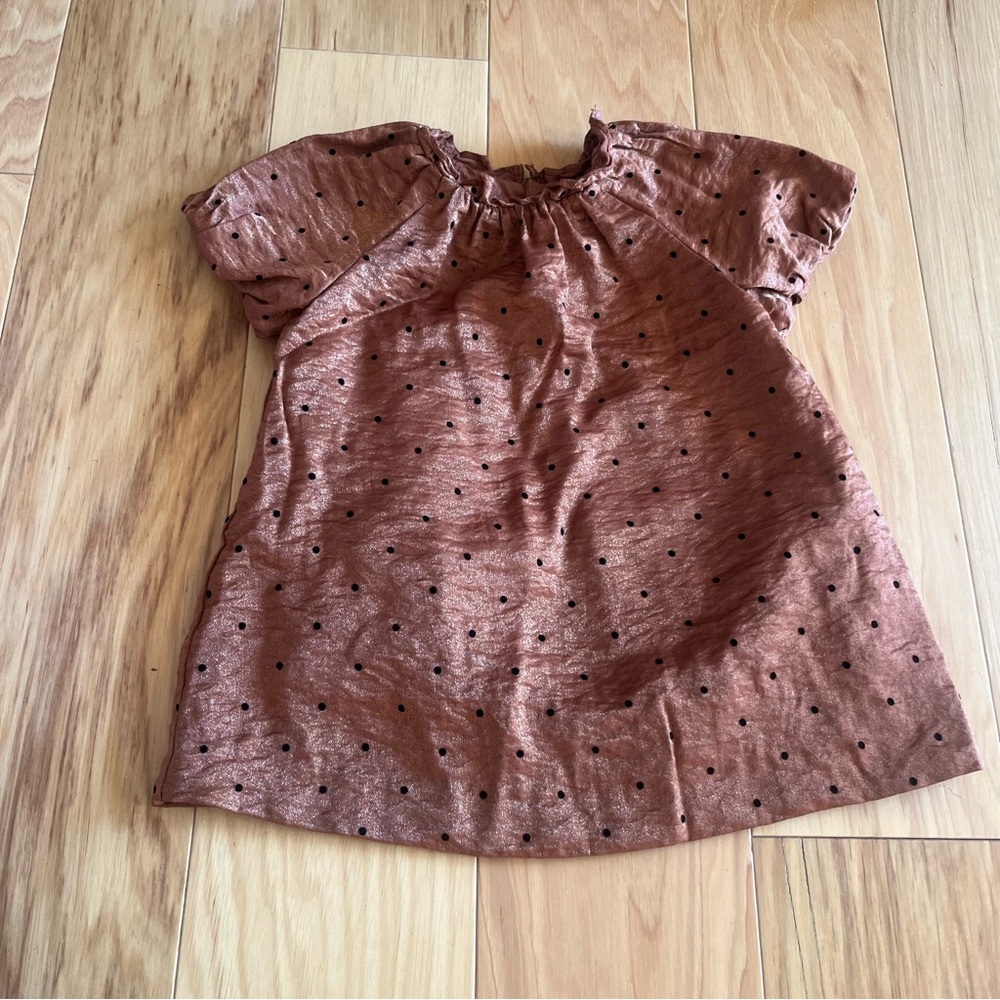 Zara dress